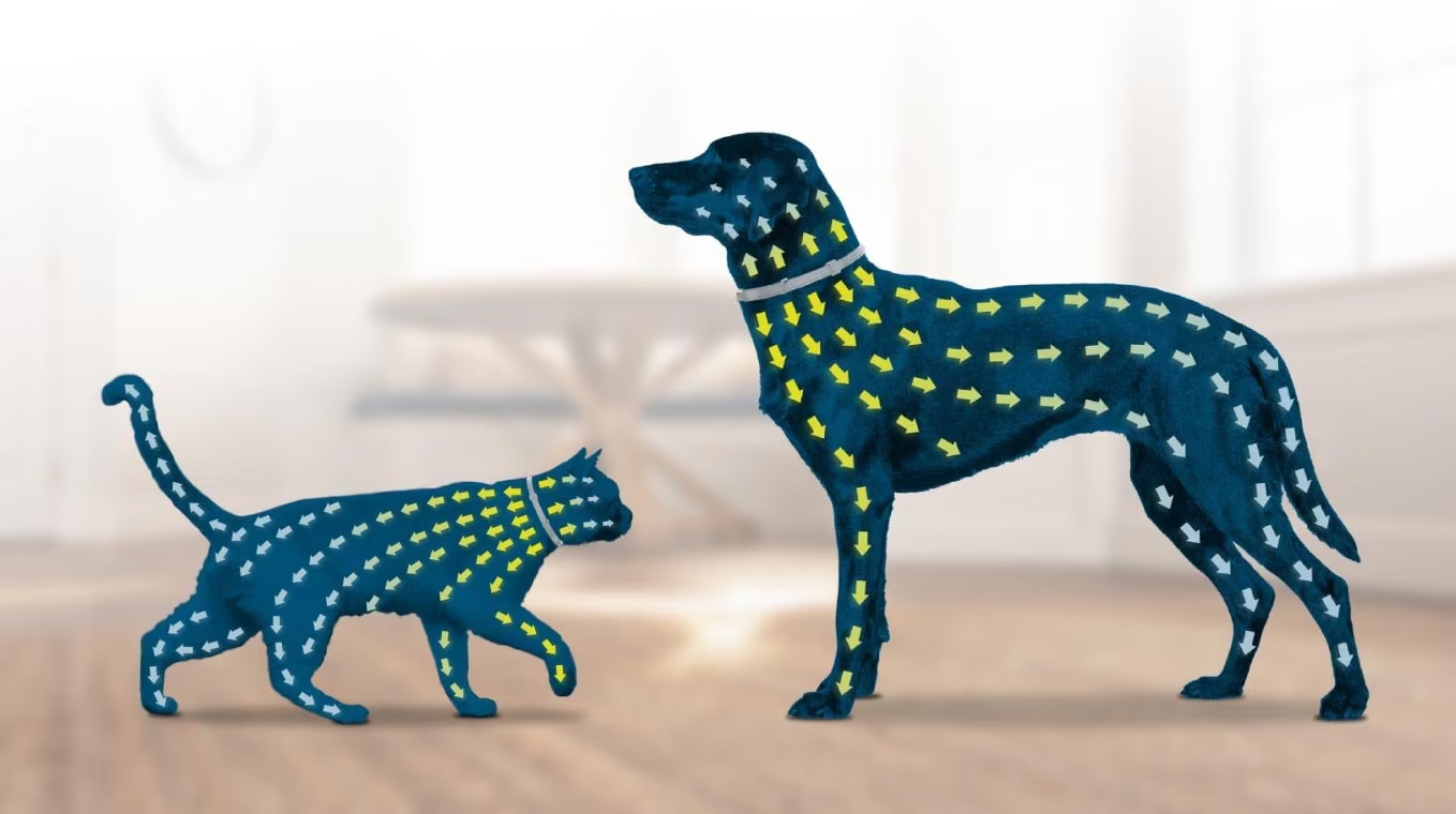 Seresto Halsband - Zecken- und Flohschutz fr Hunde und Katzen | Seresto DE