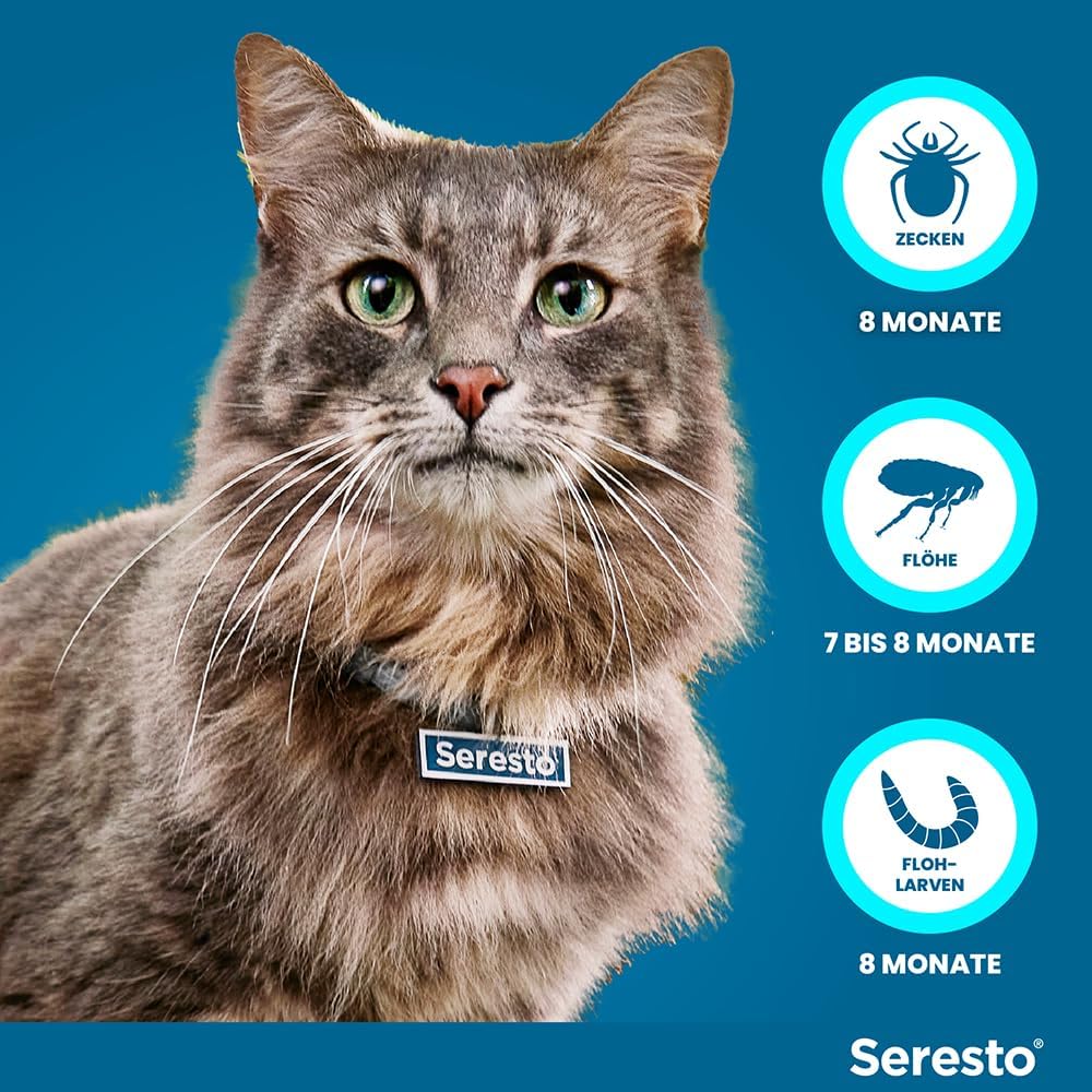 Seresto für Katzen - Foto 3