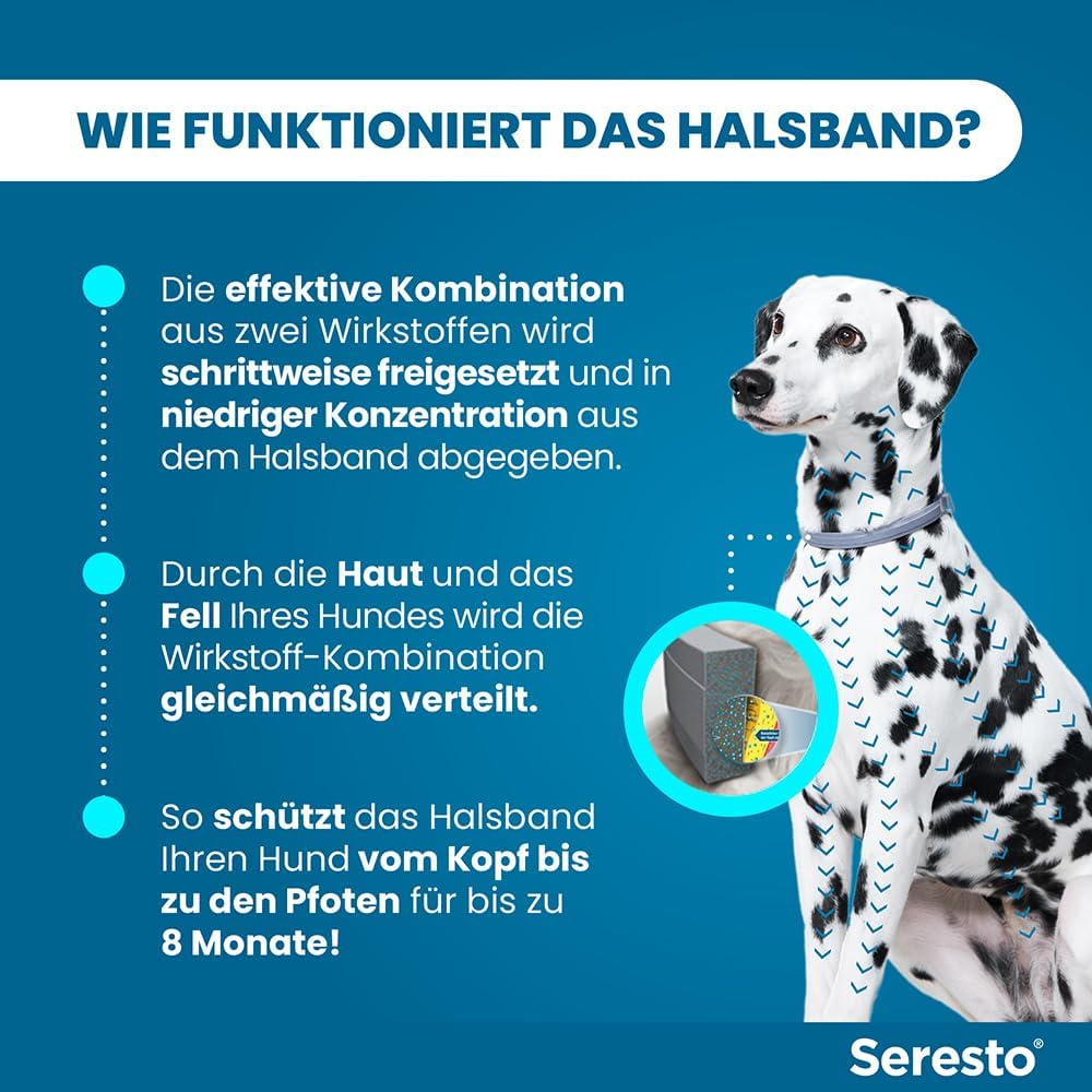 Seresto für große Hunde - Foto 6