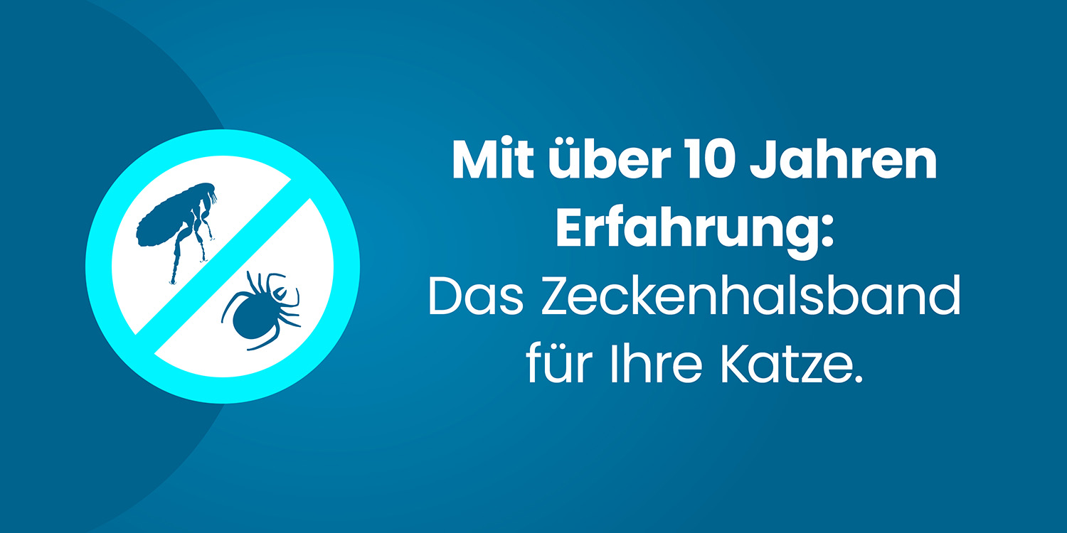 Seresto für Katzen - Produktinformation