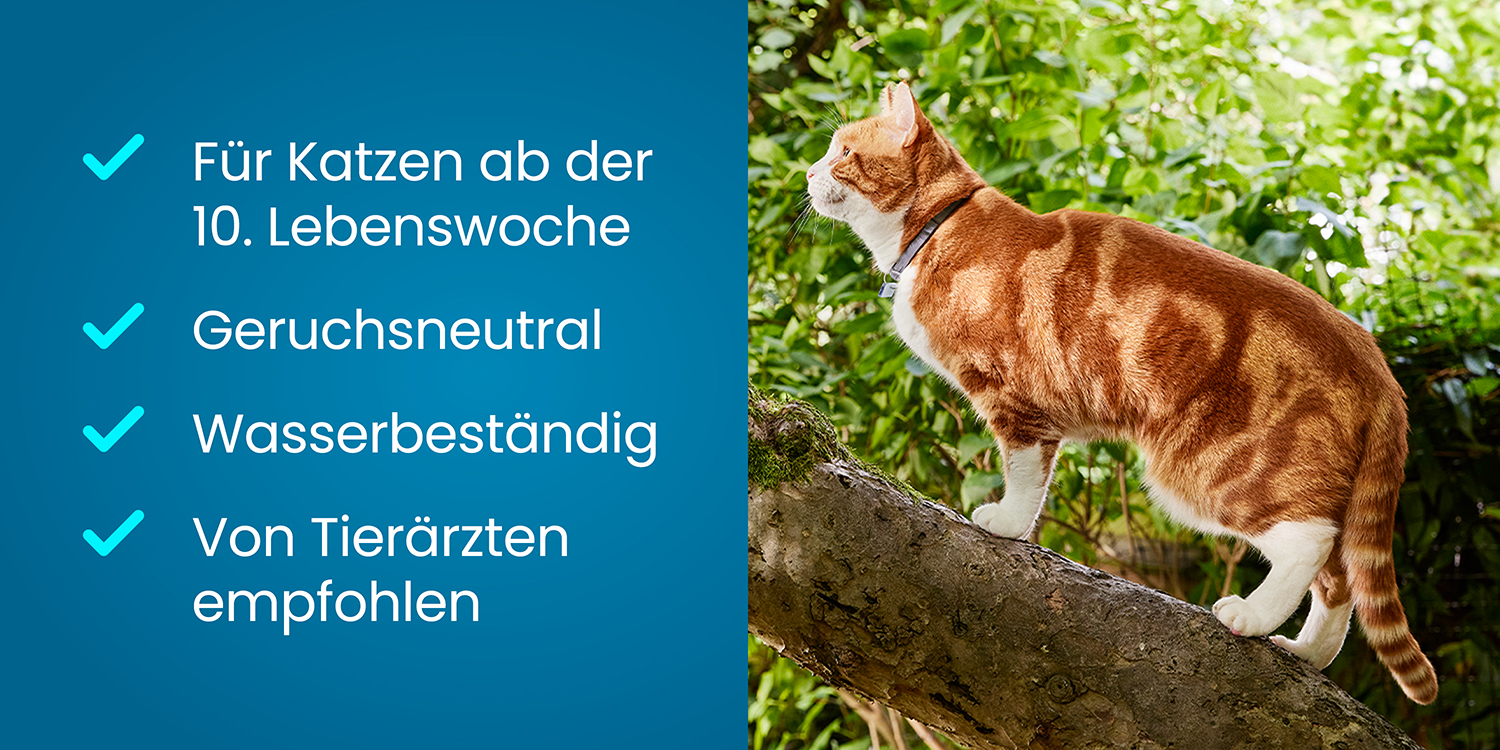 Seresto für Katzen - Funktionsweise