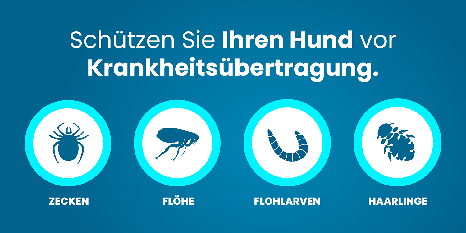 Hund im Freien - Schutz vor Parasiten
